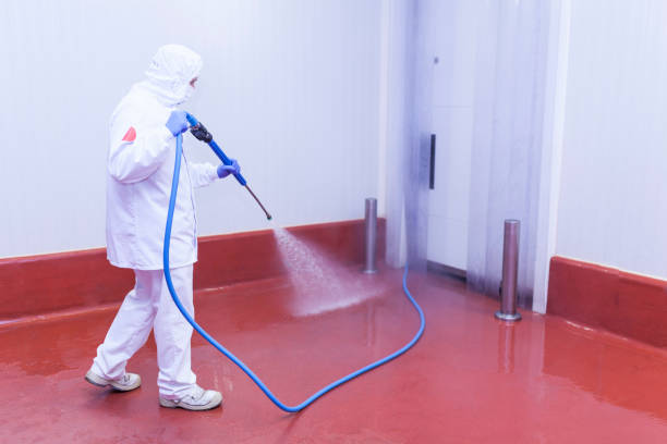 Best Spring Cleaning  in Maryville, MO