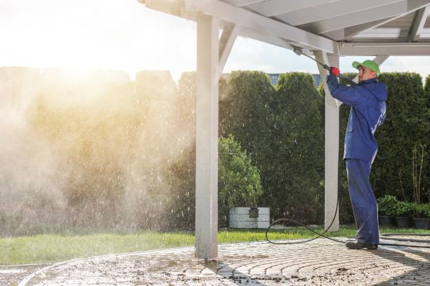 Best Sidewalk and Walkway Cleaning  in Maryville, MO