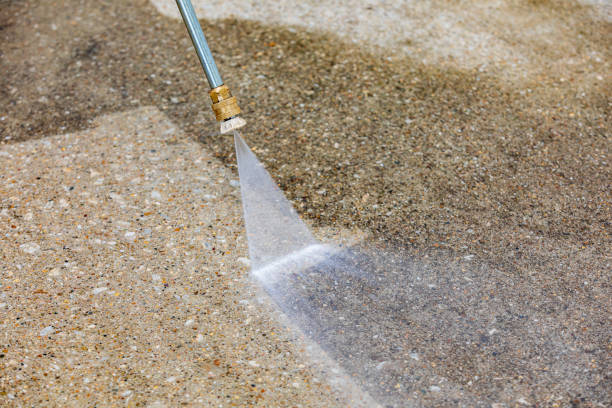 Animal Enclosure Cleaning in Maryville, MO